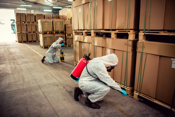 Flea Control Services in Trappe, MD