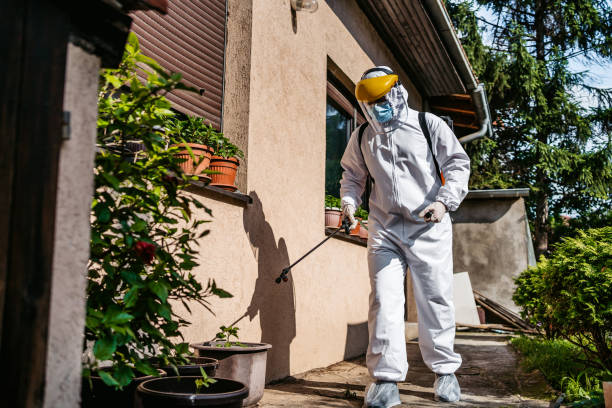 Best Pest Prevention Services  in Trappe, MD