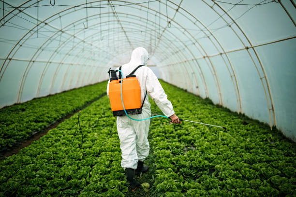 Reliable Trappe, MD Pest Control Solutions