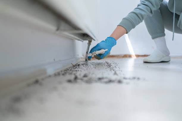 Pest Prevention Services in Trappe, MD